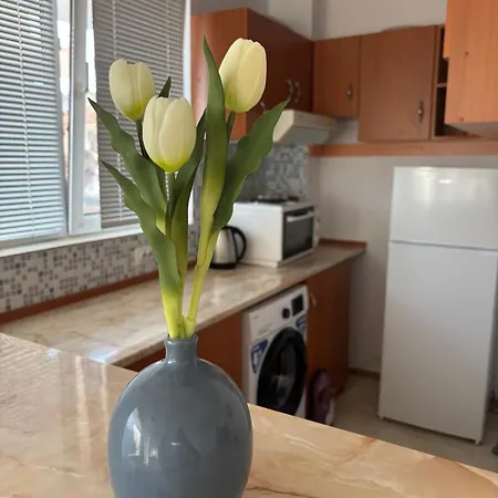 Apartment енигма *
